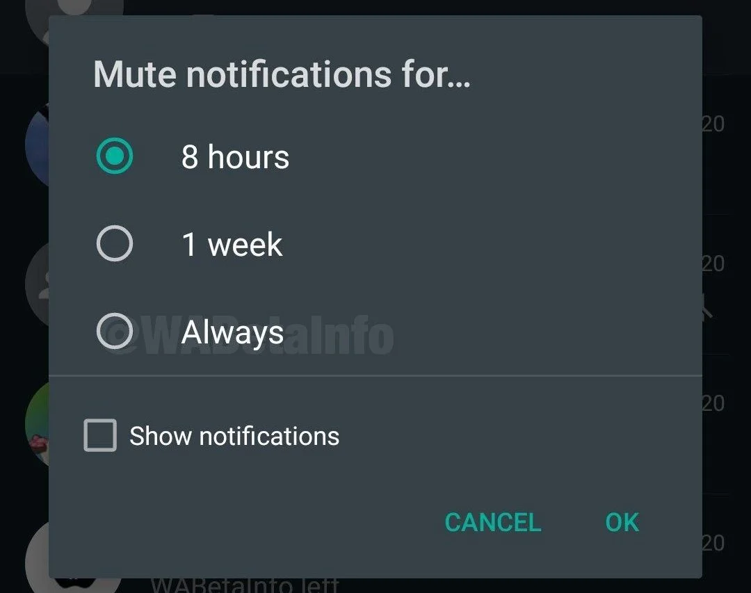 Mute options pictured in the 2020 source article; this is historical interface evidence. Archived WhatsApp mute-options screenshot